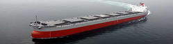 Bulk Carrier Services